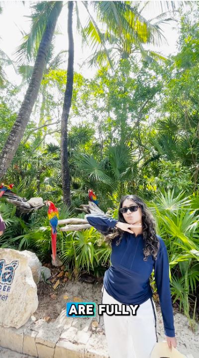 Only at Xcaret Arte